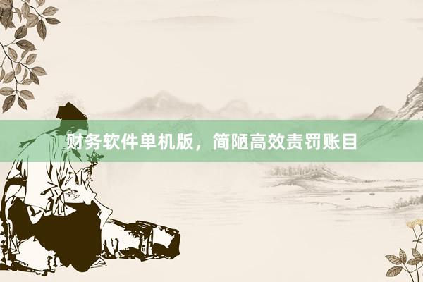 财务软件单机版,简陋高效责罚账目