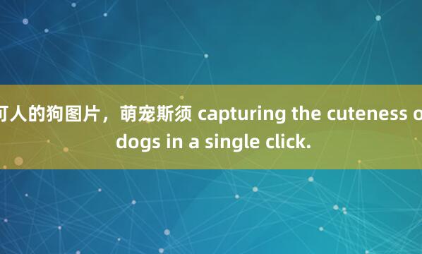 可人的狗图片，萌宠斯须 capturing the cuteness of dogs in a single click.